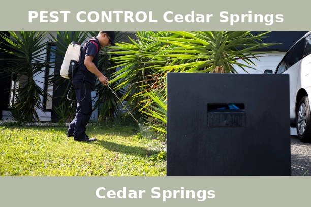 PEST CONTROL Cedar Springs